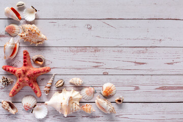 Fototapeta na wymiar Starfish and shells on a light wooden background with space for text