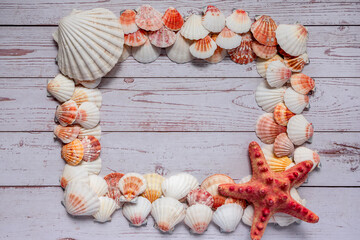 Frame of seashells and starfish on a light wooden background. Space for text