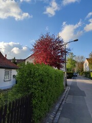 red brick house