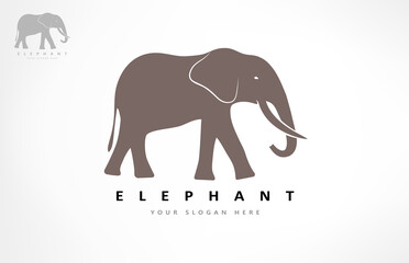 Elephant logo vector. Animal design.