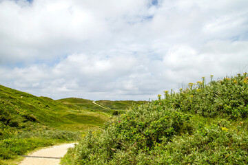 Fototapeta na wymiar Dunes of Texel landscape