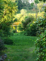 Lush Greenery on Riverbank