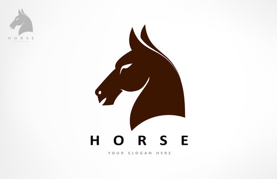 Horse logo vector. Animal vector design.