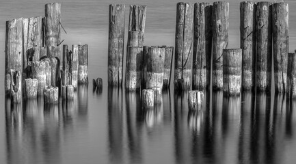 Posts of an Old Pier along the St. Lawrence River