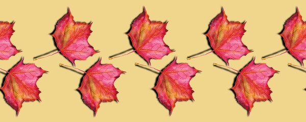 Watercolor autumn red maple leaves on a yellow background. Seamless pattern, border