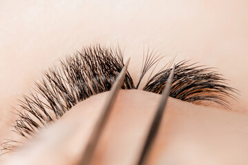 Process Eyelash extension procedure top view. Master tweezers fake 5d lashes beautiful woman eyes
