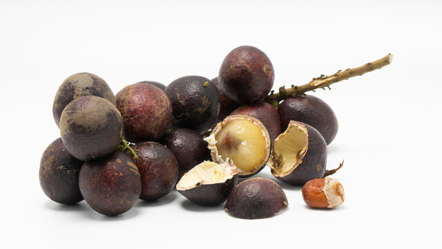 Matoa fruit is known botanically as Pometia pinnata and is a member of the lychee family. They are referred to as a “typical fruit from Papua” and are called Ton or Taun on the island of Papua.
