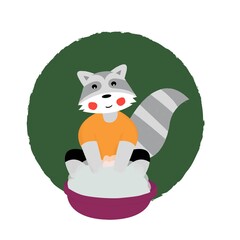 raccoon washes
