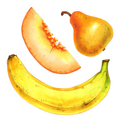 Hand drawn isolated illustrations of fruits (banana, melon, pear) on white background for graphic and web design, poster, card, book, decoration, package