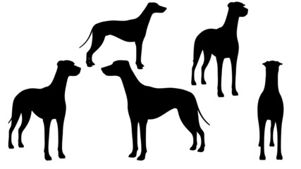 set of Dogs vector silhouette illustration isolated on white background