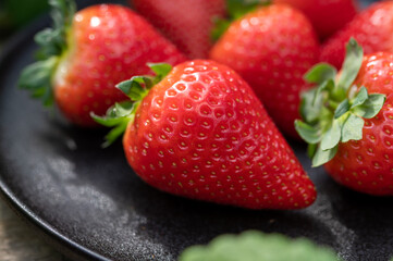 New harvest of ripe red sweet strawberry on farmer fiels and green leaves of strawberry plants close up
