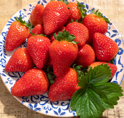 New harvest, plate of ripe red sweet strawberry ready to eat
