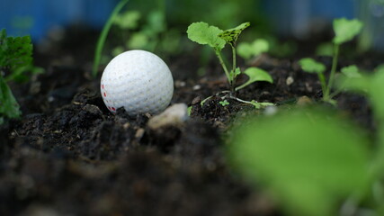 golf ball soft focus on deep bokeh  green background