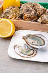 Eating of fresh big raw fine de claires vertes green french oysters from Marennes-Oleron