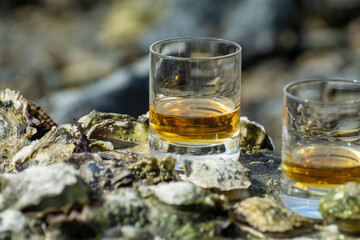 Tasting of single malt or blended Scotch whisky and seabed at low tide with algae, stones and oysters on background, private whisky tours in Scotland, UK