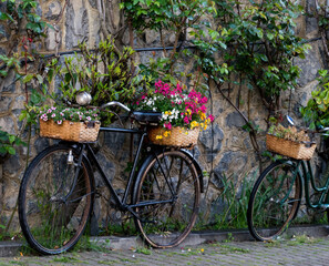 old bicycles decorated with colorful flowers