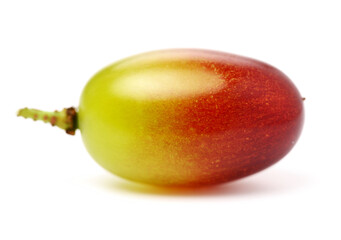red grape on white background 