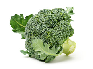 Broccoli vegetable on white background 