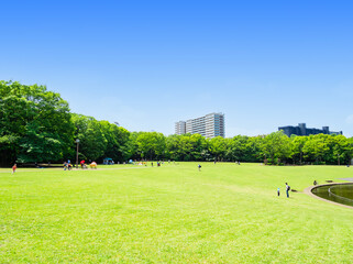 青空と緑の公園