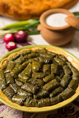 Azerbaijan traditional cuisine dolma in grape in leaves
