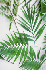 Naklejka na ściany i meble Green exotic jungle palm leaves