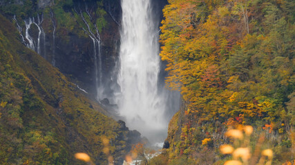 Obraz na płótnie Canvas waterfall in autumn