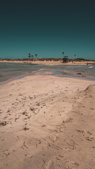 Close up of woman feet walking barefoot on sand beach in sea water. Vacation, travel and freedom concept. People relaxing in summer.