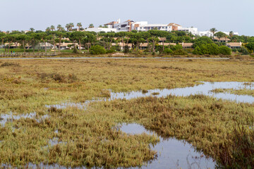 Campo y Hotel en El Rompido, municipio de Cartaya, provincia de Huelva, comunidad autonoma de Andalucia o Andalusia, pais de España o Spain
