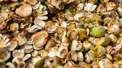 Lots of waste shell of palmyra palm thrown at street of Dhaka, Bangladesh.