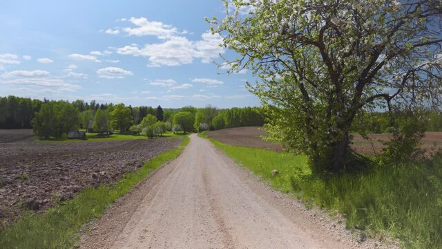 Dirt road from a hill between plowed fields