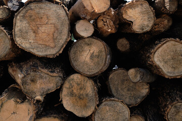 old wooden texture closeup