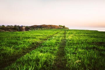 A trail in a grass field during sunset, a beautiful evening landscape