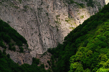 Mountain gorge with steep slopes overgrown with forest