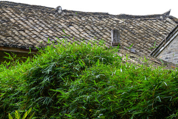 Fototapeta na wymiar Old tile-roof house in rural Lingnan, China
