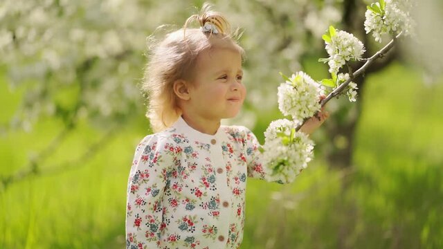 little cute girl at flowering tree in garden. seasonal allergies in children. 