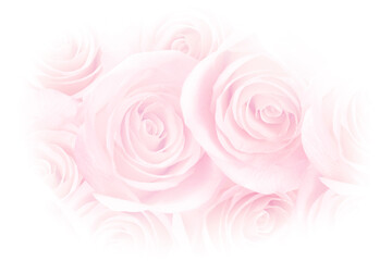 Obraz na płótnie Canvas Pink Rose Petals Photo Background