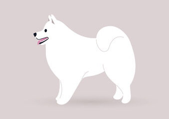 A white samoyed dog standing in a side view, black nose and pink tongue, a cute mascot
