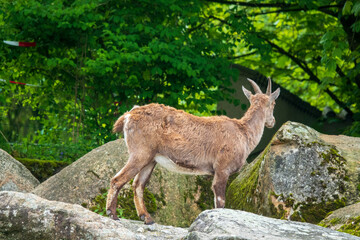 Zoobesuch