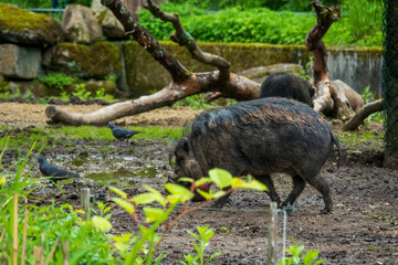 Zoobesuch