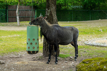 Zoobesuch