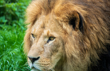 Zoobesuch