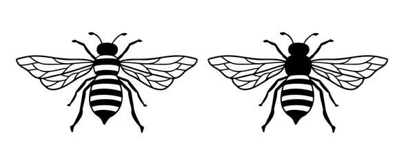 Vector Bee line icon illustration. Graphic logo of insect, simple doodle emblem. Hand drawn honeybee isolated on white background. Queen symbol outline design.