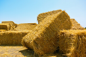 dry haystack, farming symbol of harvest time - obrazy, fototapety, plakaty
