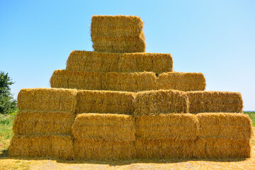 dry haystack, farming symbol of harvest time