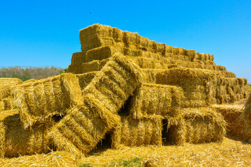 dry haystack, farming symbol of harvest time