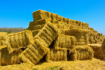 dry haystack, farming symbol of harvest time