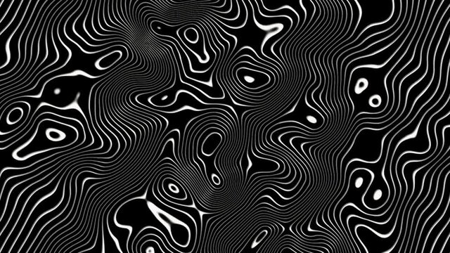 Black and white Topograph Design Textures