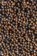 Macro dried black pepper . Spices.,milled black pepper ,Black pepper corns and Black pepper Powder