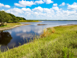 Fototapeta na wymiar Sunny summer day in Myakka River in Myakka River State Park in Sarasota Florida USA