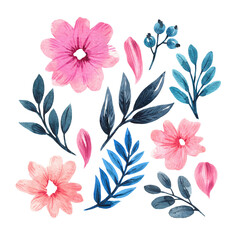 Botanical watercolor illustration of floral elements.
